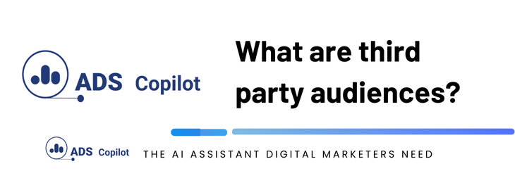 What are third party audiences?